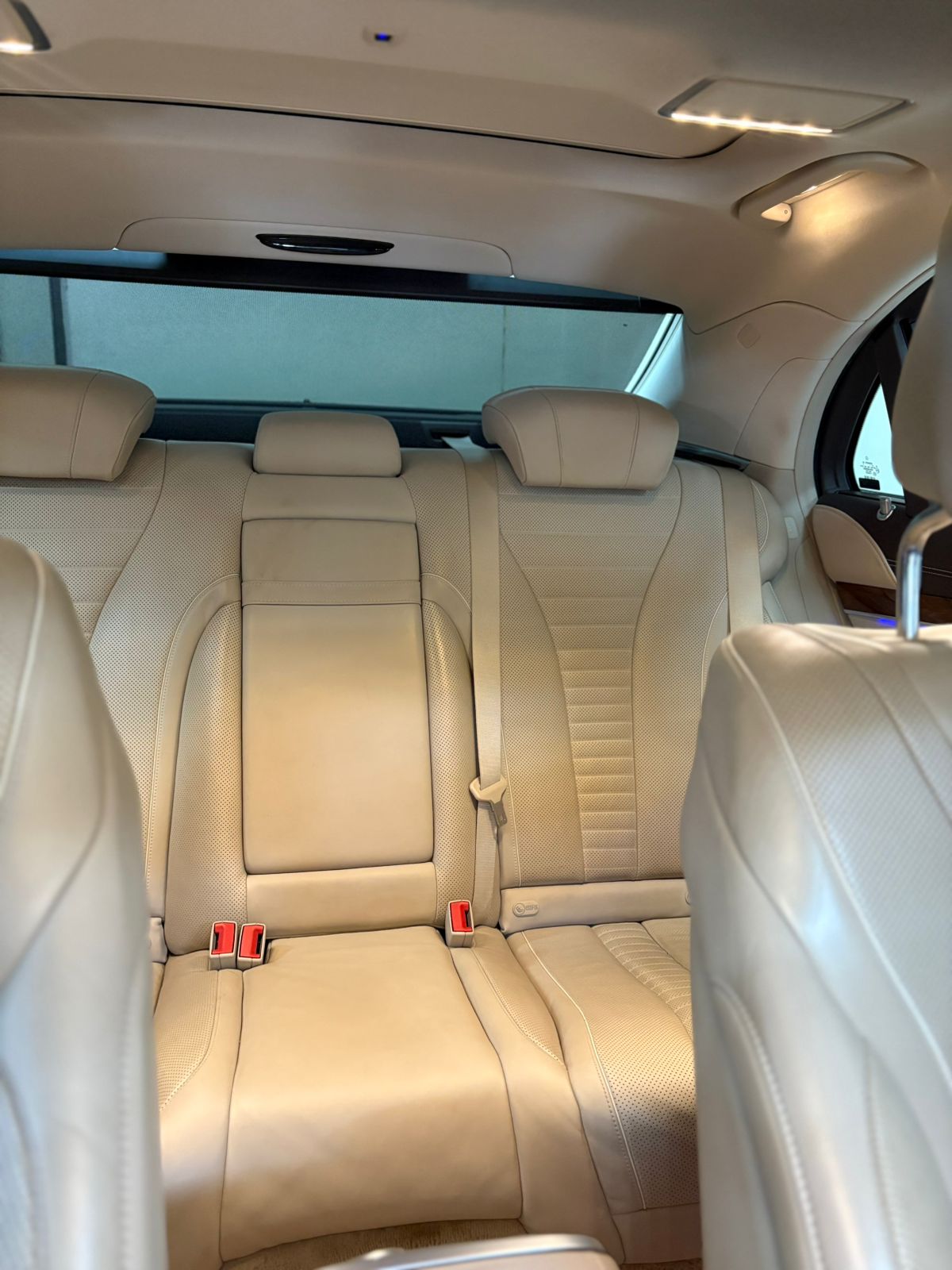 WhatsApp Image 2026-02-20 at 11.43.50